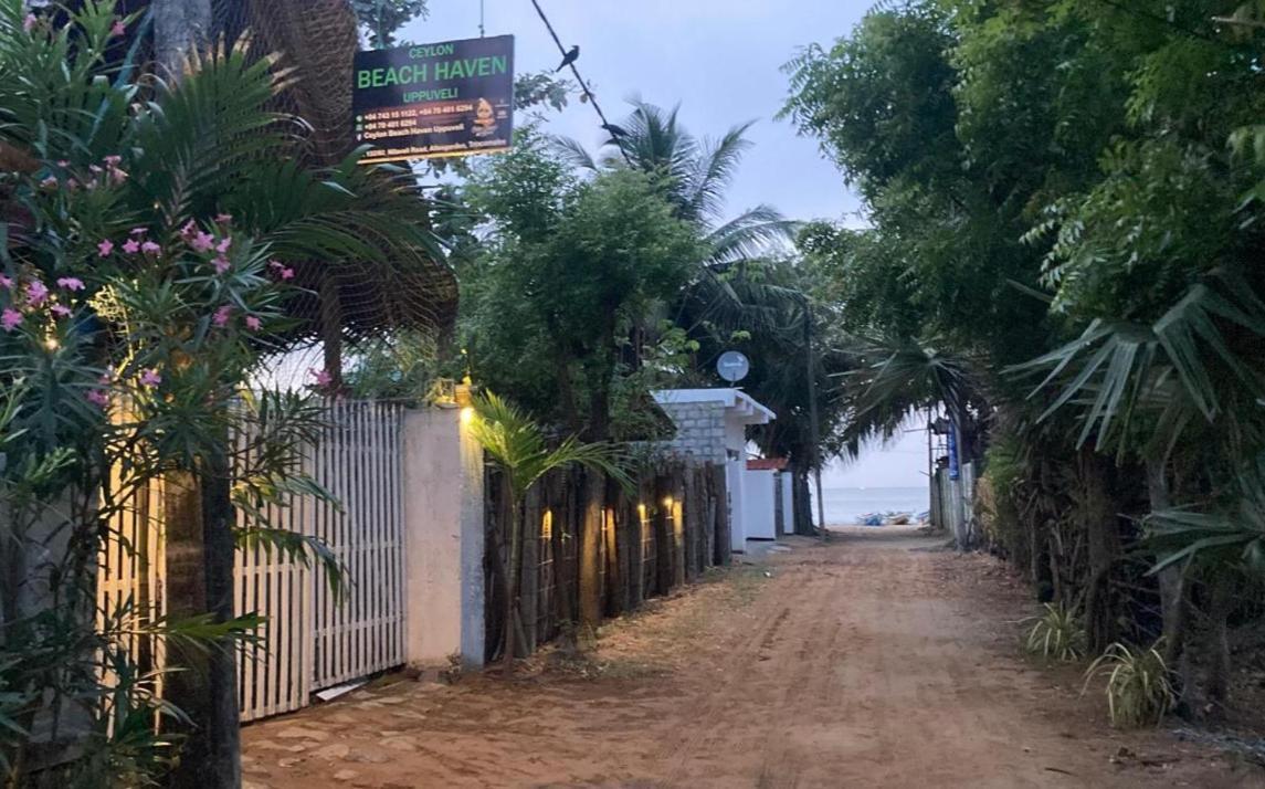 Ceylon Beach Haven Uppuveli トリンコマリー エクステリア 写真