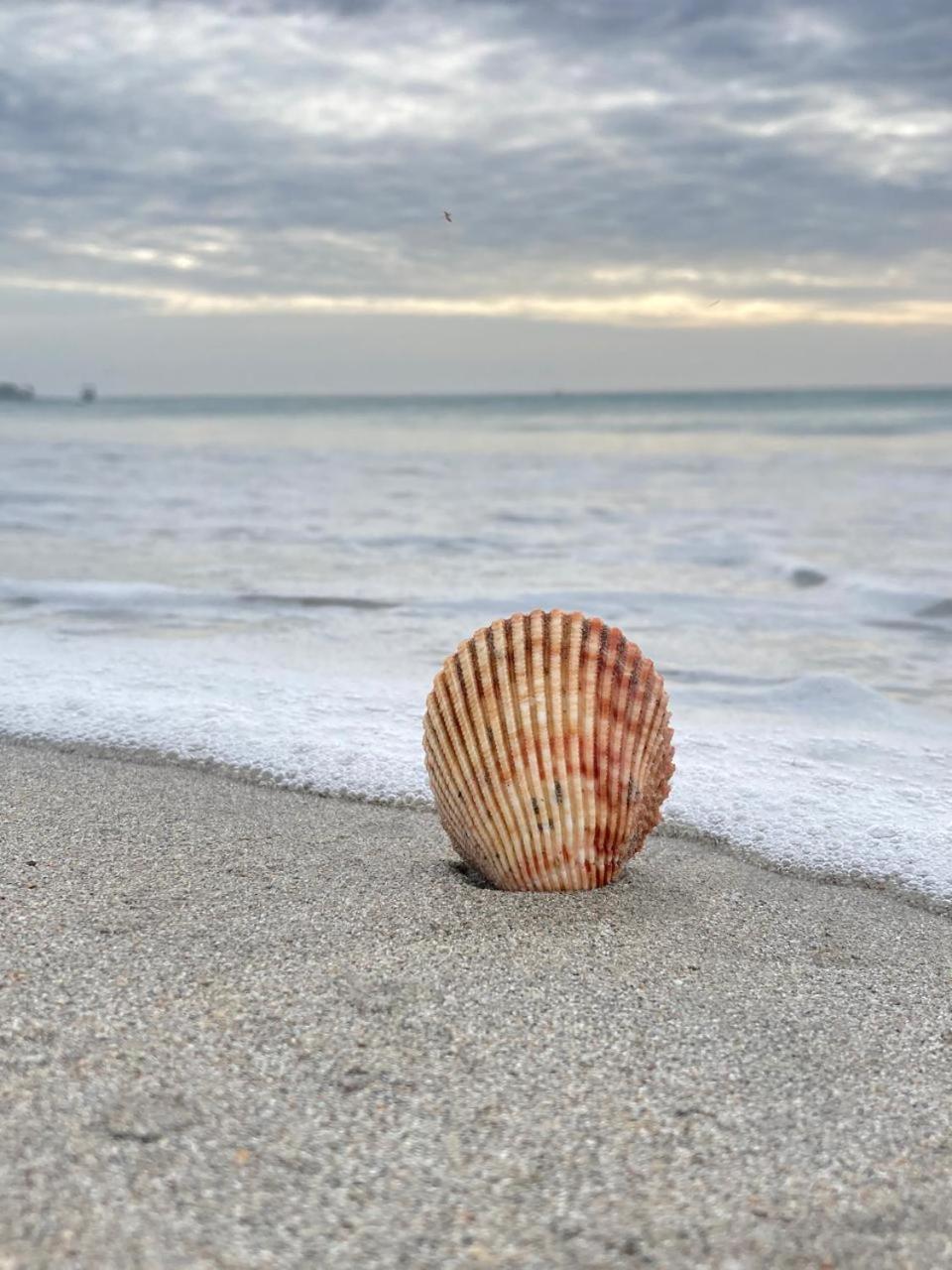 Ceylon Beach Haven Uppuveli トリンコマリー エクステリア 写真