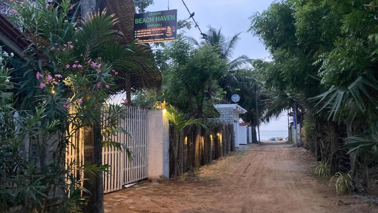 Ceylon Beach Haven Uppuveli トリンコマリー エクステリア 写真