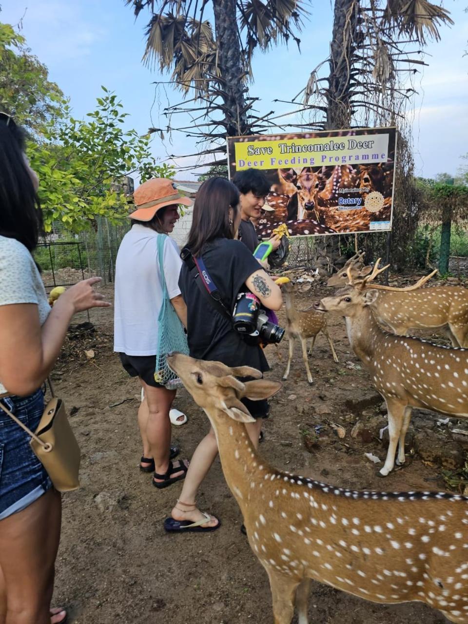 Ceylon Beach Haven Uppuveli トリンコマリー エクステリア 写真